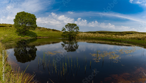 Fototapeta Naklejka Na Ścianę i Meble -  Small circular lake beside Loughareema, with water reflections and Damselflies, Ballycastle, Causeway coast and glens, County Antrim, Northern Ireland