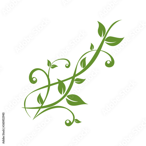 green plants tendril on white background vector illustration EPS10