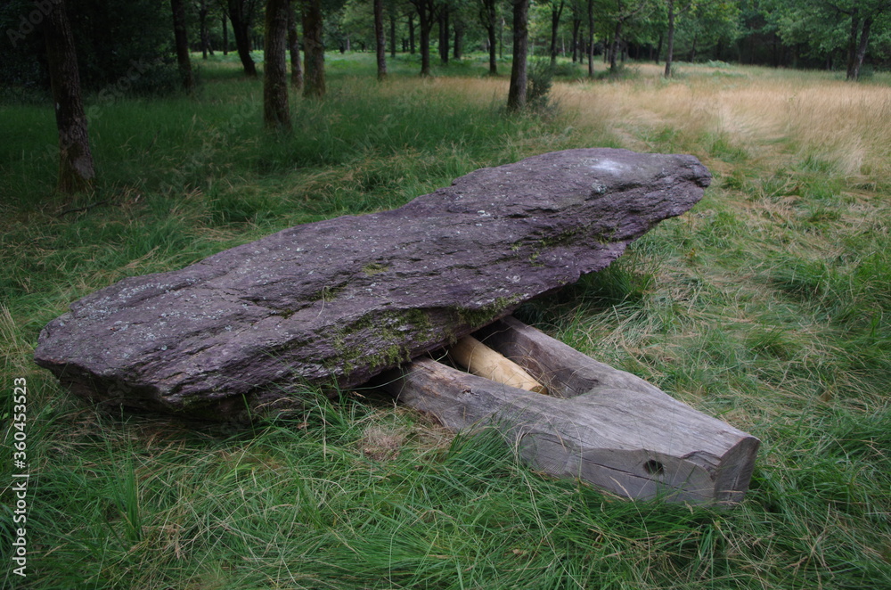 Obraz premium Menhirs de Monteneuf