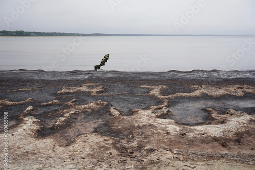 Fototapeta Naklejka Na Ścianę i Meble -  Smelly rotting algae at baltic sea beach in summer                               