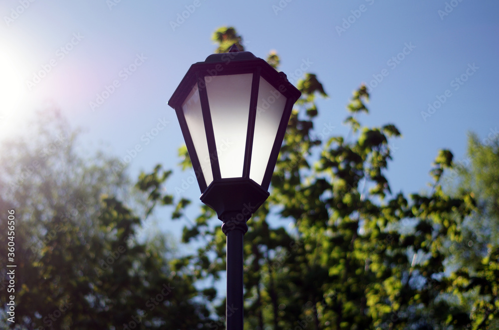 Street light in the park with sunshine and blue sky in the morning, autumn, Russia, Saint petersburg
