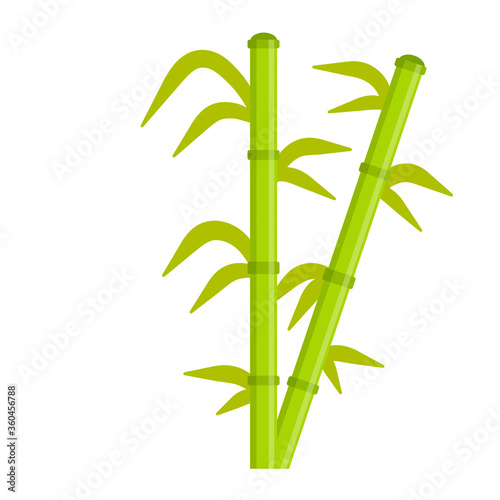 Bamboo with leaves. Green stem of plant. Asian Two Stick and branch. Cartoon flat illustration. Ecology and freshness