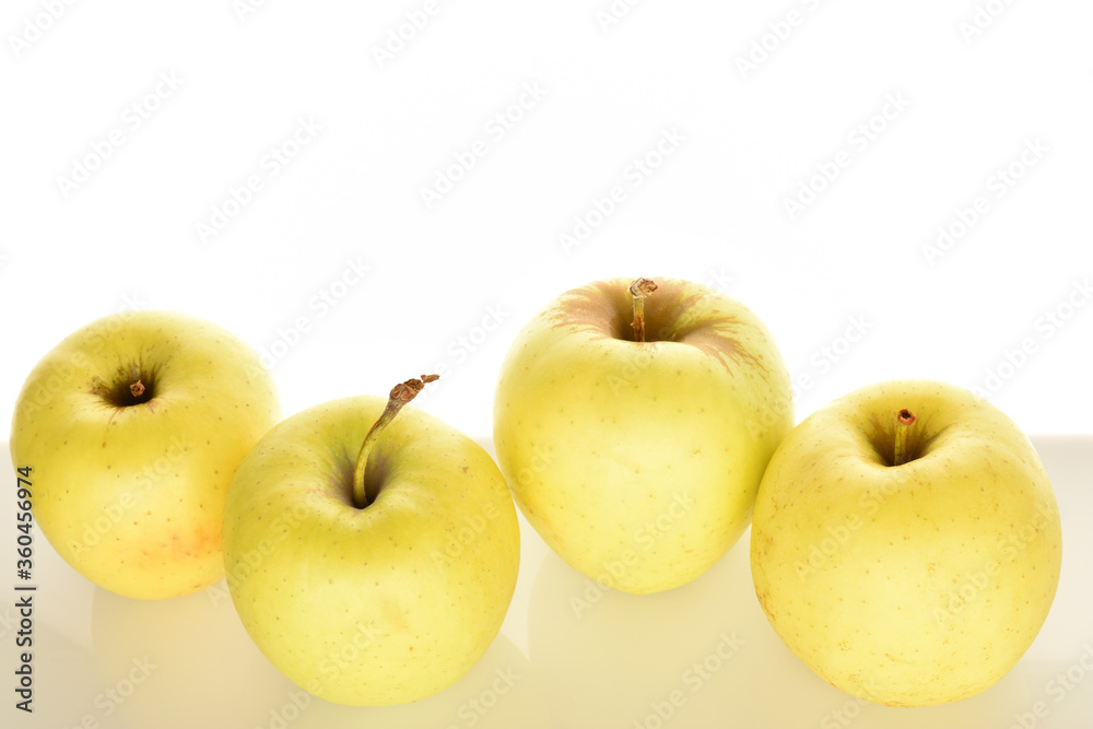 Yellow apples, close-up, on a white background. Yellow apples, close-up, on a white background.