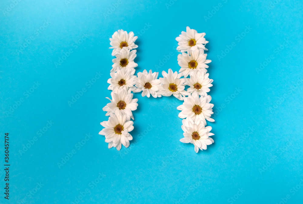 The letter H is laid out with daisies on a blue background