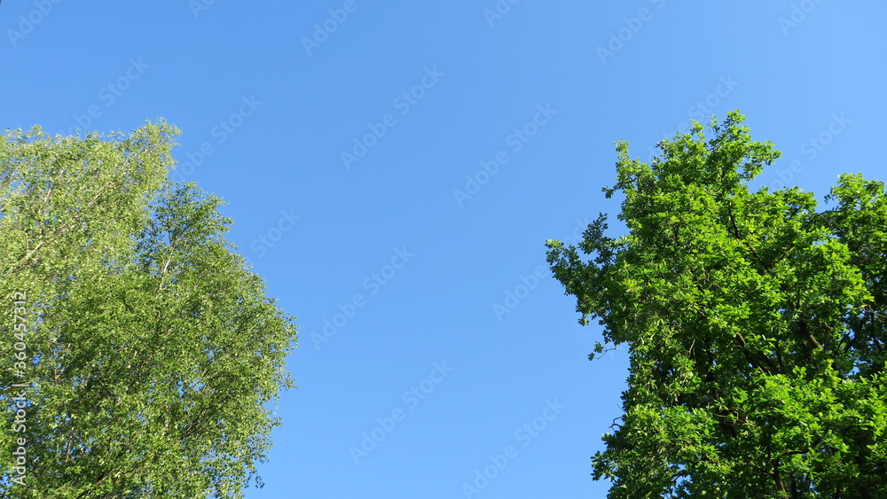 Wolkenloser Himmel 08 Wolkenloser Himmel 08