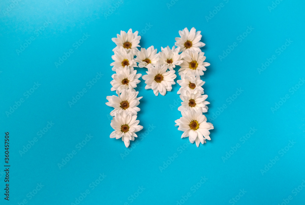 The letter M is laid out with daisies on a blue background