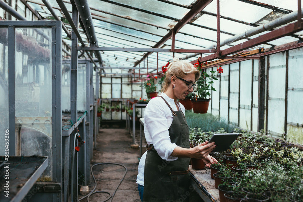 middle aged woman working in greenhouse flower nursery