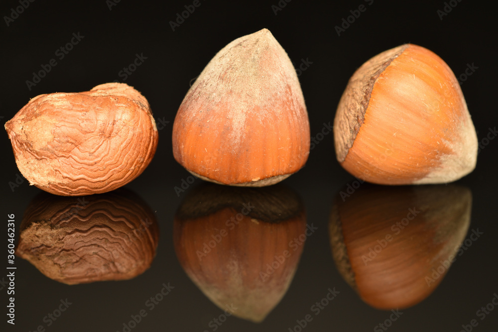 Hazelnuts, macro, on a black background. Hazelnuts, macro, on a black background.