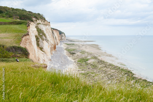 Εκτύπωση καμβά Beautiful cliffs in the north of France, Normandy region, Pourville-sur-mer town