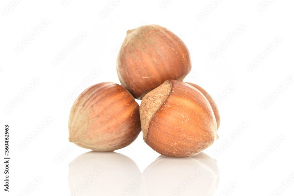 Hazelnuts, macro, on a white background. Hazelnuts, macro, on a white background.