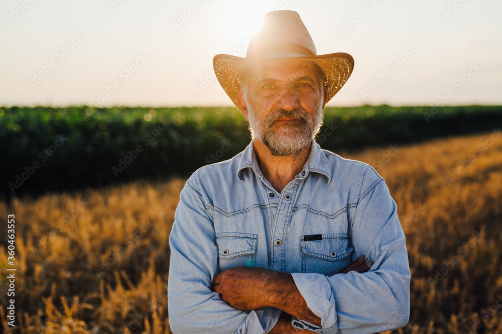 Fototapeta premium middle aged man in wheat filed standing crossed arms