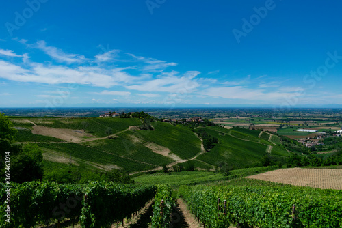 panorama sulla pianura da Cigognola, Oltrepò Pavese © lk_photo