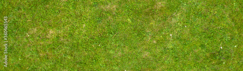 texture of green grass on the lawn, seamless © vadim_fl