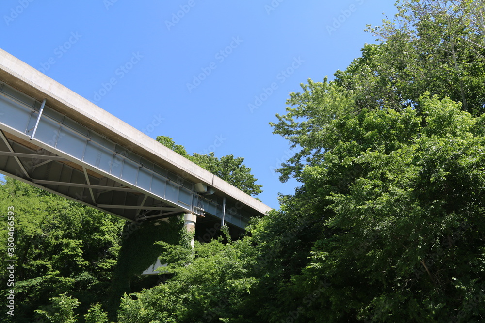 a road river bridge heading into green trees with a blue sky