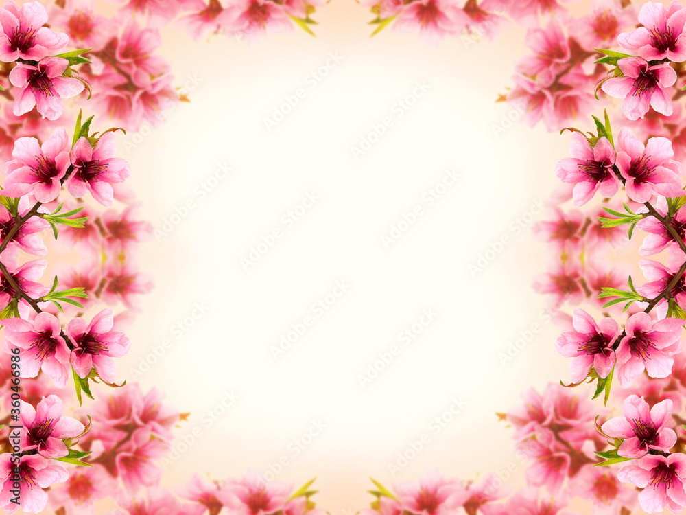 Pink peach blossom frame background