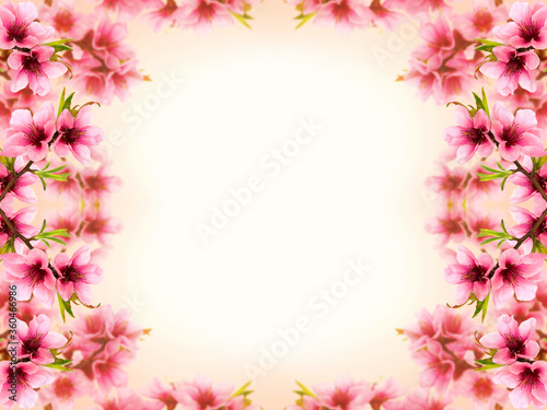 Pink peach blossom frame background