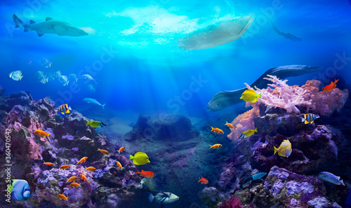 A small boat floating over a coral reef. Underwater sea world. Life in the ocean. Colorful tropical fish. Coral reef ecosystem. 