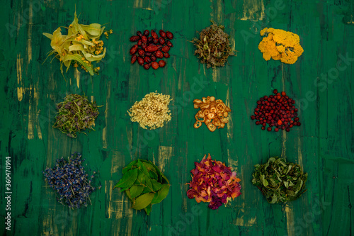 Verschiedene Kräuter auf grünem Hintergrund