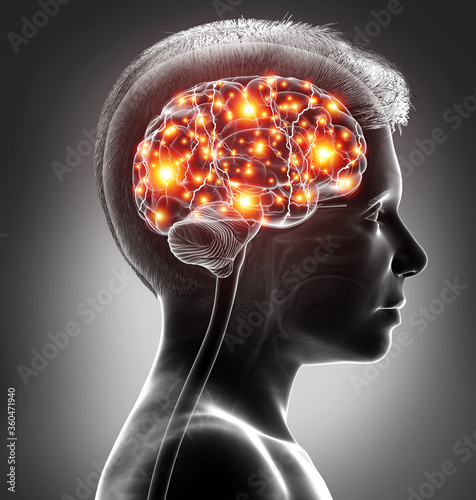 3d rendered, medically accurate illustration of a young boy active brain photo