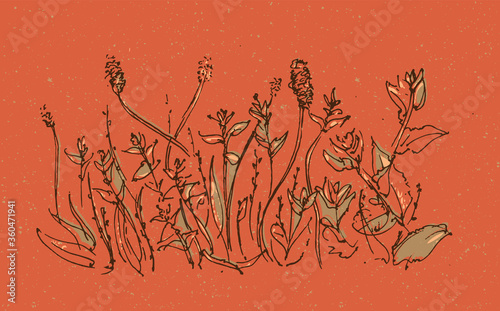 Grasses. Natural Landscape Background. Modern Illustration Vector.