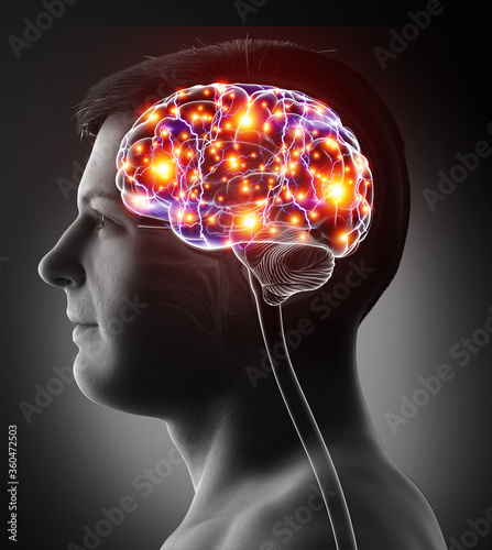 3d rendered, medically accurate illustration of a male active brain photo