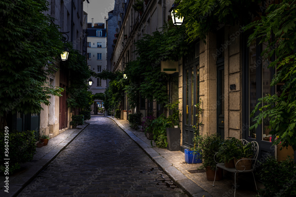 Paris, France - June 24, 2020: The Cour Damoye with its vegetation in Paris near Bastille district