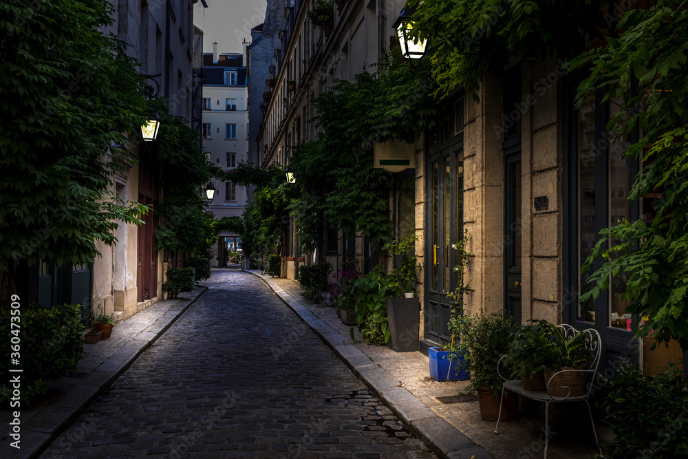 Paris, France - June 24, 2020: The Cour Damoye with its vegetation in Paris near Bastille district Paris, France - June 24, 2020: The Cour Damoye with its vegetation in Paris near Bastille district