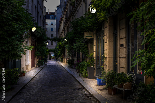 Paris, France - June 24, 2020: The Cour Damoye with its vegetation in Paris near Bastille district