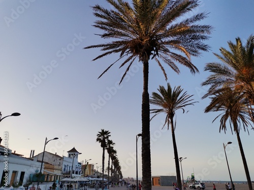 Beach walk palm trees and people 