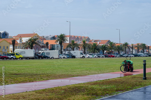 Promenade in Costa Nova with palm trees, green grass and little cute houses, Portugal