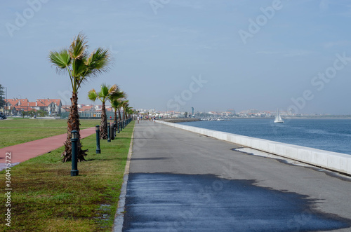 Promenade in Costa Nova with palm trees, green grass and little cute houses, Portugal