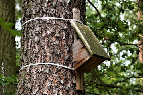 Fototapeta Naklejka Na Ścianę i Meble -  Budka lęgowa ptaków