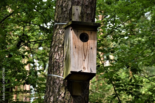 Budka lęgowa ptaków