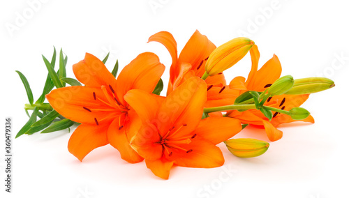 Bouquet of orange lilies. photo