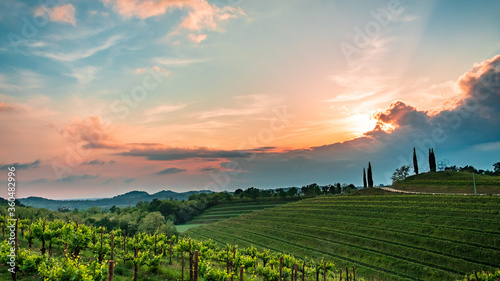 Spring stormy sunset in the vineyards of Collio Friulano  Friuli-Venezia Giulia  Italy