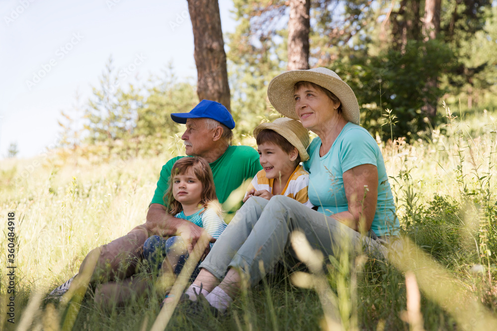 Grandparents with two grandchildren
 in summer outdoors. Concept of friendly family. Staycations, hyper-local travel,  family outing, getaway, 