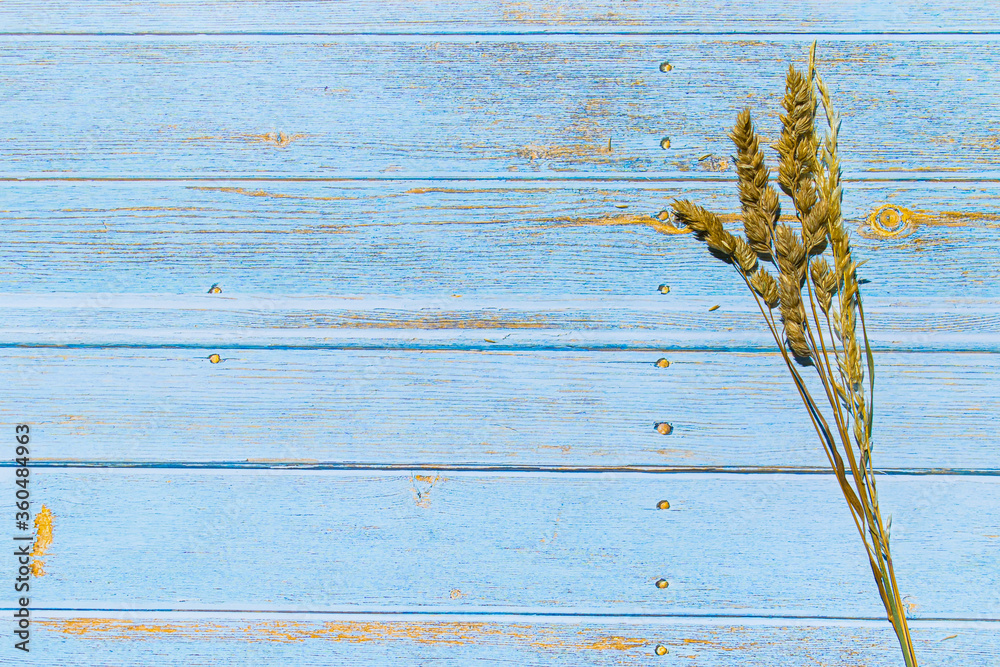 Fototapeta premium getrocknetes Gras auf Tisch