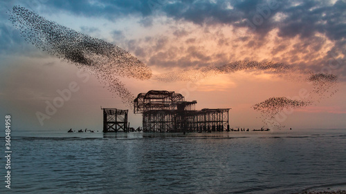 Starlings murmuration over the old pier