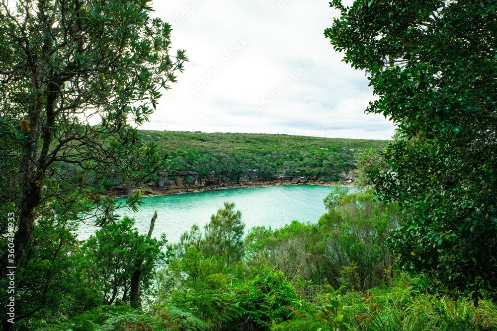 Panoramic views of Wattamolla Beach with waterfall tress turquoise blue waters and nice white sandy beach in sydney NSW Australia