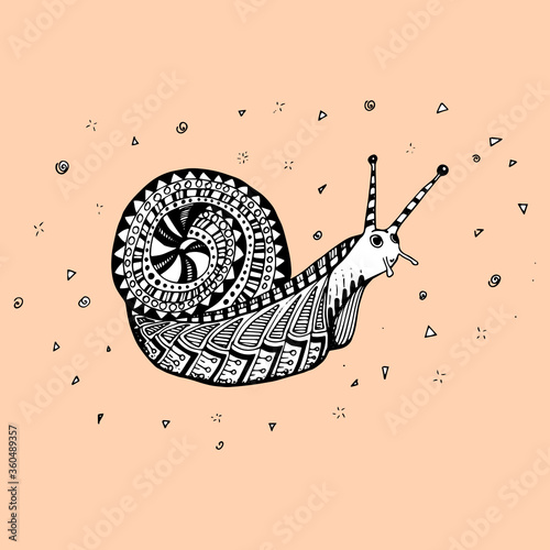 Vector black white hand drawn illustration with snail print tshirt poster zentangle
