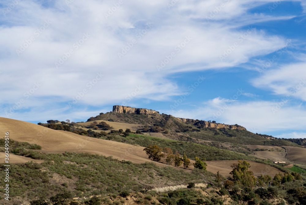 paisaje con fondo de cielo azul en la sierra de ronda.