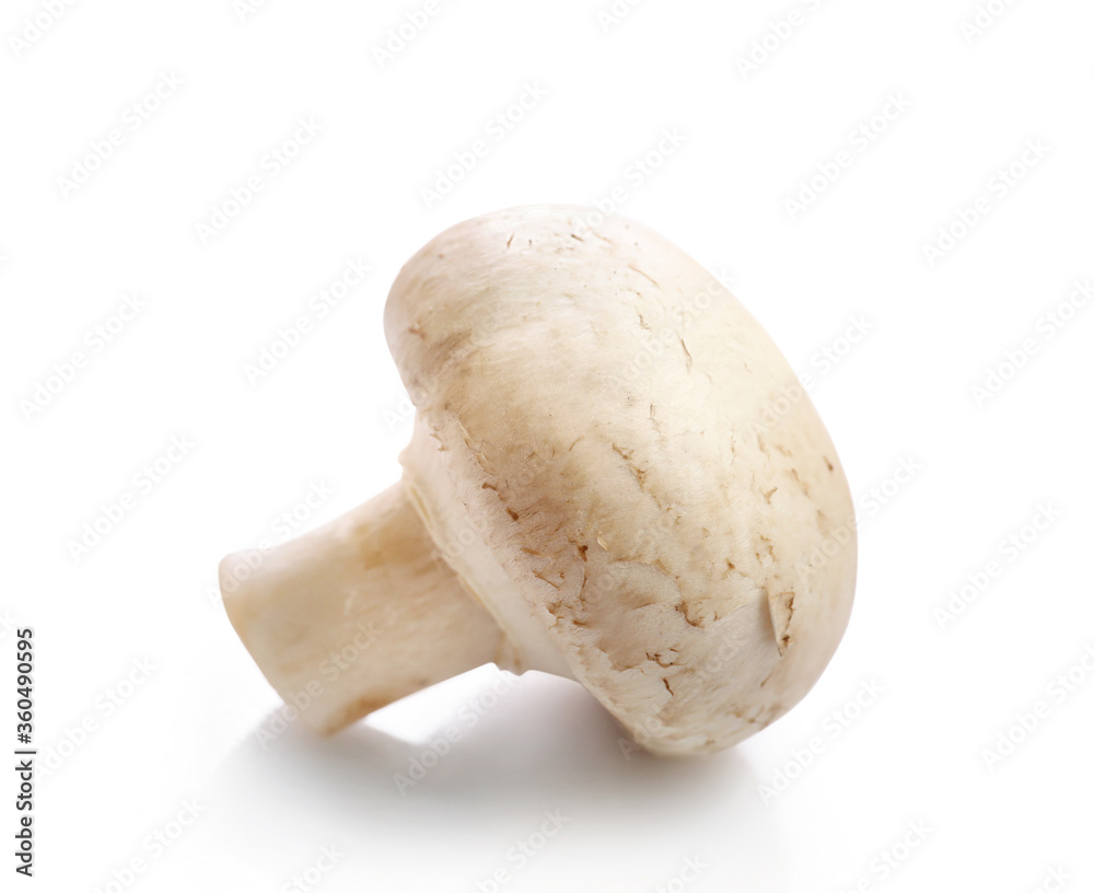 White champignon isolated on white background White champignon isolated on white background