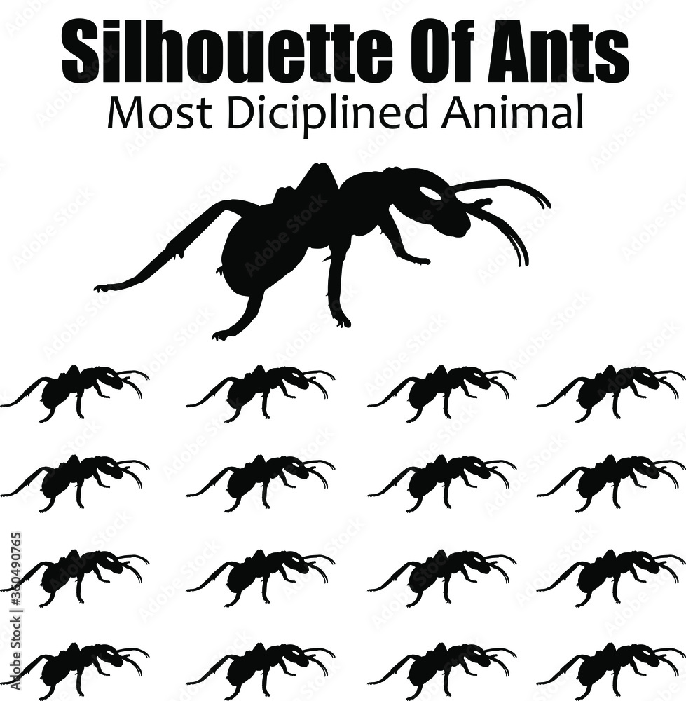 Silhouette of ants with the text