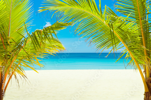 Fototapeta Naklejka Na Ścianę i Meble -  Beautiful landscape of tropical beach on Boracay island, Philippines. Coconut palm trees, sea, sailboat and white sand. Nature view. Summer vacation concept.
