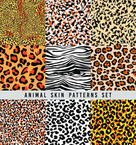 set of animal print vector patterns