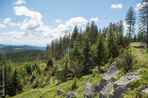 landscape in the black forest in Germany, at silver mountain 1358.9 m above sea level near Todtnau.
