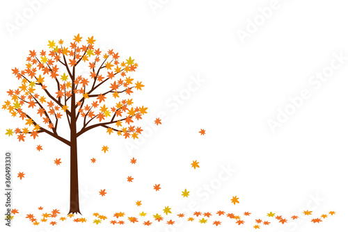 木から落ちる枯葉