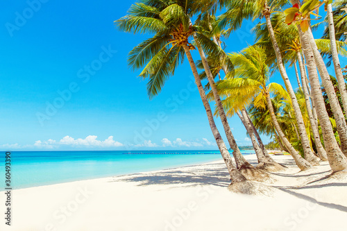 Fototapeta Naklejka Na Ścianę i Meble -  Beautiful landscape of tropical beach on Boracay island, Philippines. Coconut palm trees, sea, sailboat and white sand. Nature view. Summer vacation concept.
