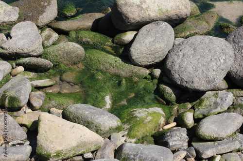 Sea pebble. Sea stones background. Beach rocks.