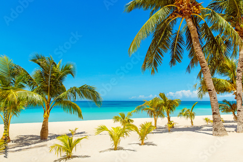 Beautiful landscape of tropical beach on Boracay island, Philippines. Coconut palm trees, sea, sailboat and white sand. Nature view. Summer vacation concept.